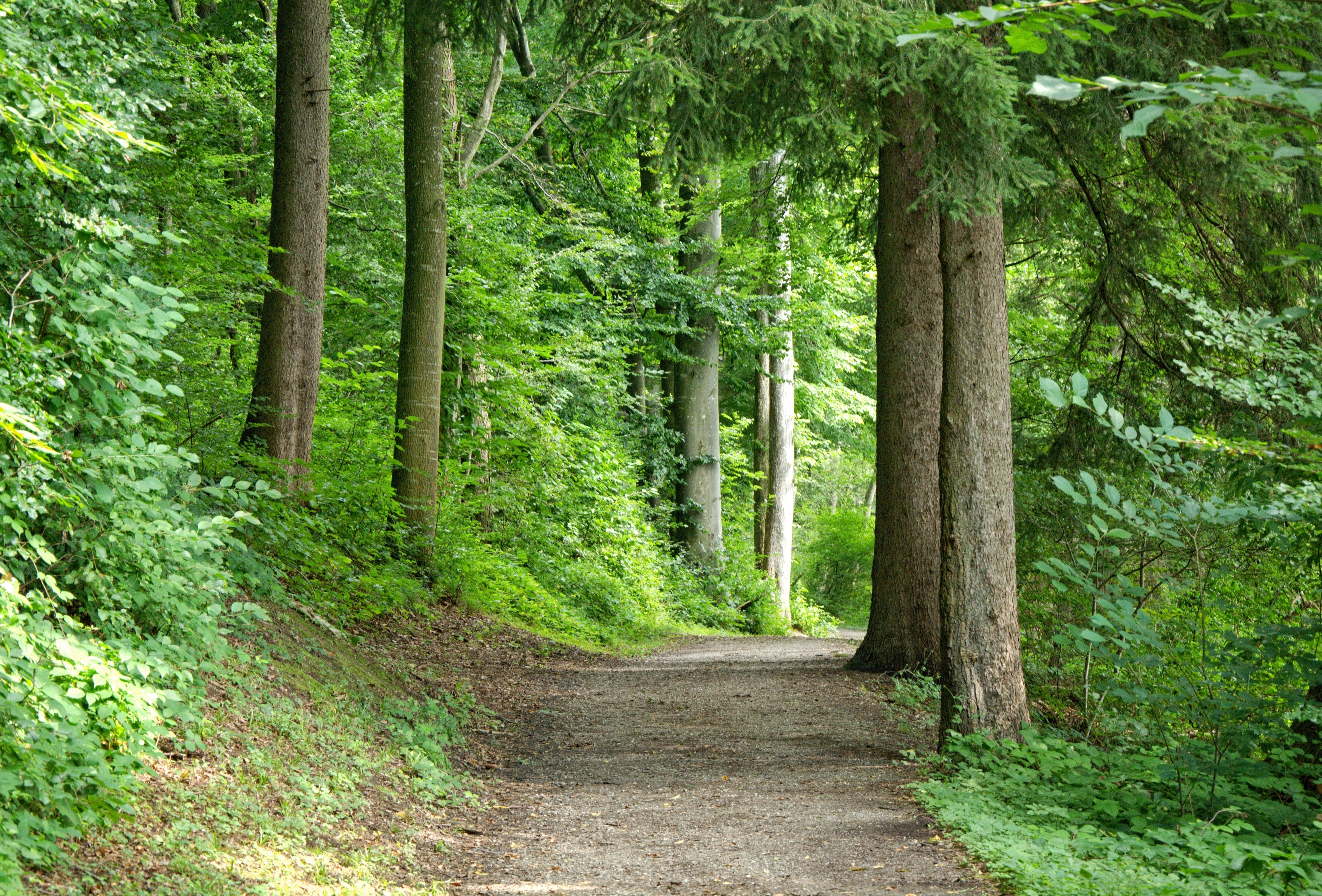 Old Path Baptist Church